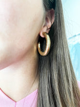 Load image into Gallery viewer, Gold Snakeskin Hoops
